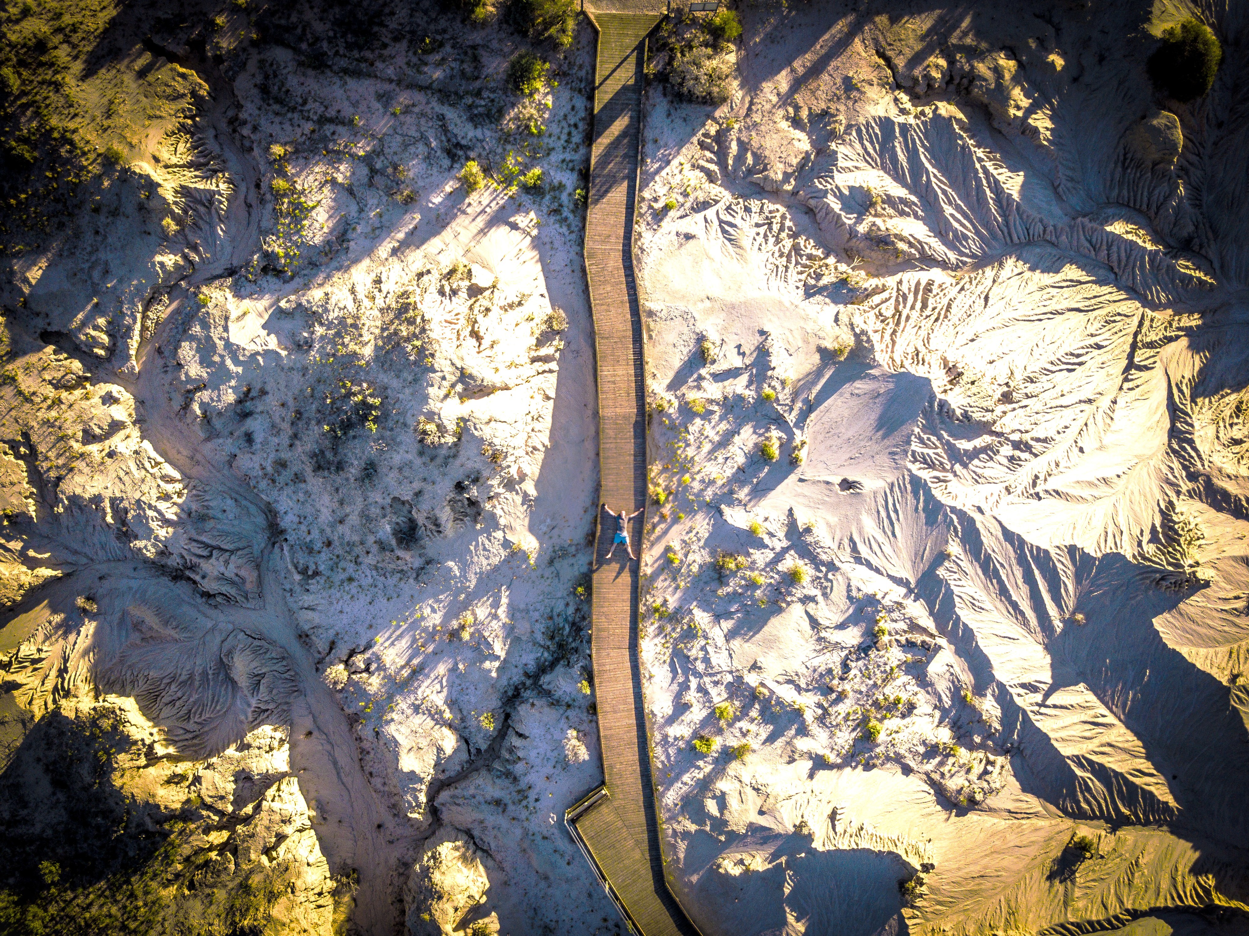 portrait of shaun andre teacher